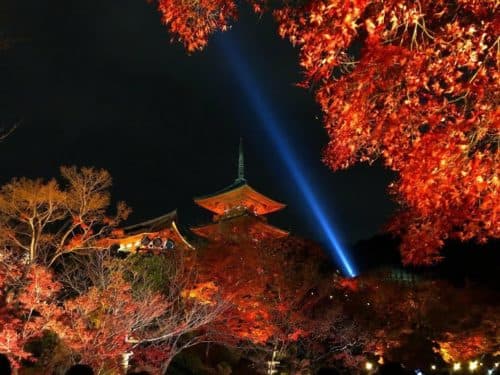 紅葉が美しい 清水寺の秋の夜間ライトアップについて