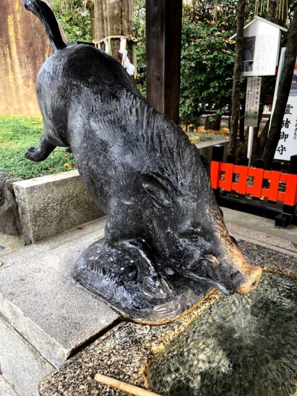 護王神社のいのしし