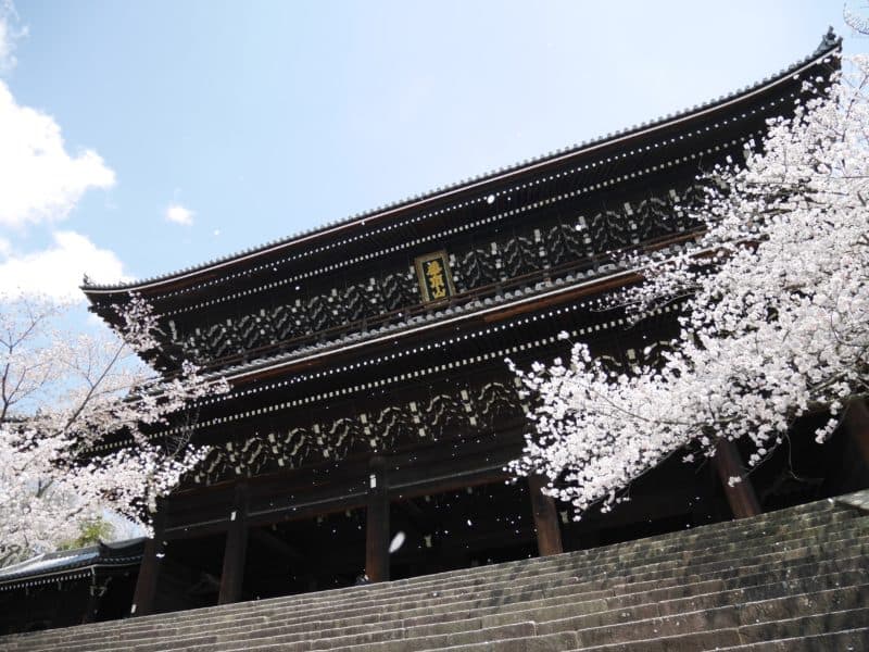 祇園 桜の名所知恩院がおススメです